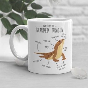 Bearded Dragon Coffee Mug, Cute Reptile Gift, Bearded Dragon Lover, Funny Lizard Cup, Gift for Him, Her, Housewarming, Birthday, Anatomy