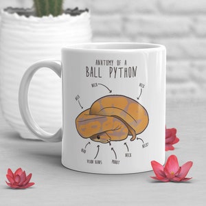 Banana Ball Python Coffee Mug, Cute Snake Lover Gift, Funny Reptile Mug, Gift for Him, Her, Birthday Cup, Anatomy, Snake Mom, Snake Dad