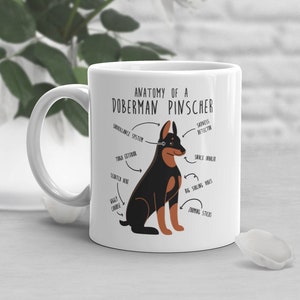 Doberman Coffee Mug, Cute Doberman Gift, Dog Lover, Funny Gift for Her, Him, Pet Mug, Animal Lover, Dog Mom, Dog Dad, Doberman Anatomy
