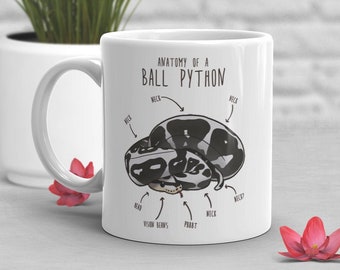 Axanthic Ball Python Kaffeetasse, niedliches Schlangen-Liebhaber-Geschenk, lustiges Reptilien-Becher, Geschenk für Sie, für Ihn, Geburtstagstasse, Anatomie, Schlangenmutter, Schlangenpapa