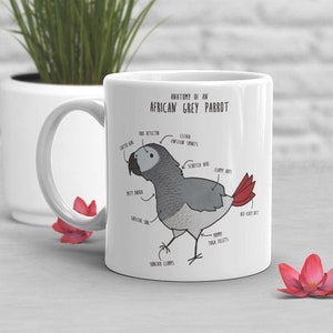 Tasse à café perroquet gris d&#39;Afrique, cadeau perroquet mignon, amoureux des oiseaux, tasse perroquet drôle, cadeau pour elle, pendaison de crémaillère, anniversaire, anatomie d&#39;un perroquet de compagnie