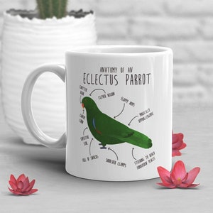 Eclectus Papagei Kaffeetasse, niedliches Vogel Geschenk, Tierliebhaber, lustiges Geschenk für Sie, Ihn, Eclectus Papagei Anatomie Tasse, Eclectus Mom Dad