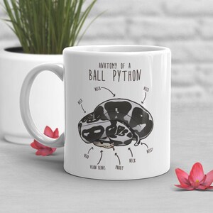 May include: White ceramic mug with a black and white illustration of a ball python with the text "Anatomy of a Ball Python" and labels for the head, neck, vision beans, and part.
