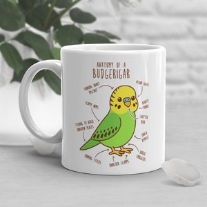 Budgie Coffee Mug, Cute Bird Gift, Pet Parrot Lover, Funny Gift for Her, Him, Green Parakeet Anatomy Cup, Bird Mom, Dad, Budgerigar Anatomy