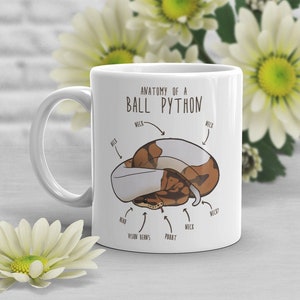 May include: White ceramic mug with a brown and white ball python illustration. The mug has the text "Anatomy of a Ball Python" and labels for the snake's head, neck, vision beans, and prob.