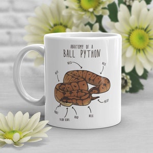 Könnte beinhalten: Weiße Keramiktasse mit einer Illustration einer braunen Ballpython und dem Text "Anatomy of a Ball Python" mit beschrifteten Körperteilen.