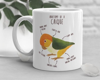 Funny Caique Coffee Mug, Cute Bird Gift, Parrot Lover, Gift for Her, Him, Housewarming, Birthday, White-Bellied Caique Anatomy Cup