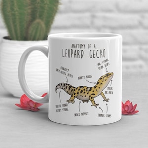 Leopard Gecko Coffee Mug, Cute Reptile Gift, Gecko Lover, Funny Lizard Cup, Gift for Him, Her, Birthday, Anatomy, Mom Dad, Herpetologist