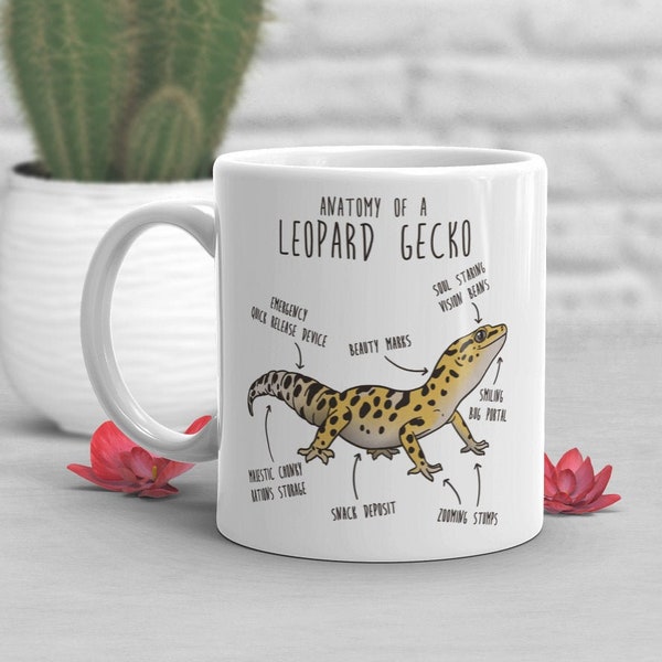 Tasse à café Leopard Gecko, cadeau de reptile mignon, amoureux de Gecko, tasse de lézard drôle, cadeau pour lui, elle, anniversaire, anatomie, maman papa, herpétologue