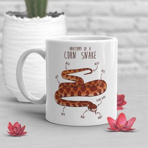 Corn Snake Coffee Mug, Cute Snake Lover Gift, Funny Reptile Mug, Gift for Him, Her, Birthday Cup, Anatomy, Python, Snake Mom, Snake Dad