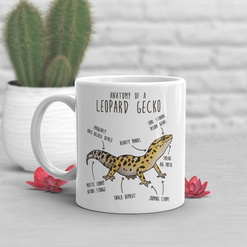 Puede incluir: Taza de cer&aacute;mica blanca con una ilustraci&oacute;n de dibujos animados de un gecko leopardo y un diagrama anat&oacute;mico humor&iacute;stico. El texto dice "Anatom&iacute;a de un gecko leopardo" e incluye etiquetas como "Dispositivo de liberaci&oacute;n r&aacute;pida de emergencia", "Marcas de belleza", "Frijoles de visi&oacute;n que miran el alma", "Gran portal sonriente", "Almacenamiento de naciones regordetas majestuosas", "Dep&oacute;sito de refrigerios" y "Troncos en zoom".