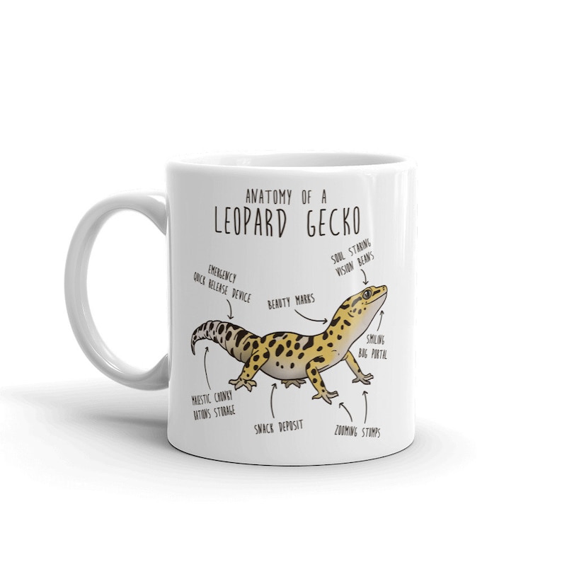Puede incluir: Taza de cer&aacute;mica blanca con una ilustraci&oacute;n de dibujos animados de un gecko leopardo y un diagrama anat&oacute;mico humor&iacute;stico. El texto dice "Anatom&iacute;a de un gecko leopardo" e incluye etiquetas para las partes del cuerpo del gecko, como "Dispositivo de liberaci&oacute;n r&aacute;pida de emergencia", "Marcas de belleza", "Visiones de frijoles que miran el alma", "Portal de bichos sonrientes", "Almacenamiento de grasa majestuosa y regordeta", "Dep&oacute;sito de refrigerios" y "Troncos de zoom".