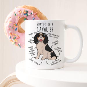 Tri-Color Cavalier King Charles Spaniel Coffee Mug, Cute Cav Gift, Dog Lover, Funny Gift for Her, Him, Pet Animal, Dog Mom, Dog Dad, Anatomy