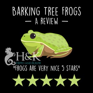 May include: A green tree frog with black eyes and brown spots on a black background. The text "BARKING TREE FROGS - A REVIEW -" is at the top of the image. The text "H&K HIPPO AND KELPIE" is below the frog. The text "FROGS ARE VERY NICE 5 STARS" is below the logo. Five yellow stars are below the text.