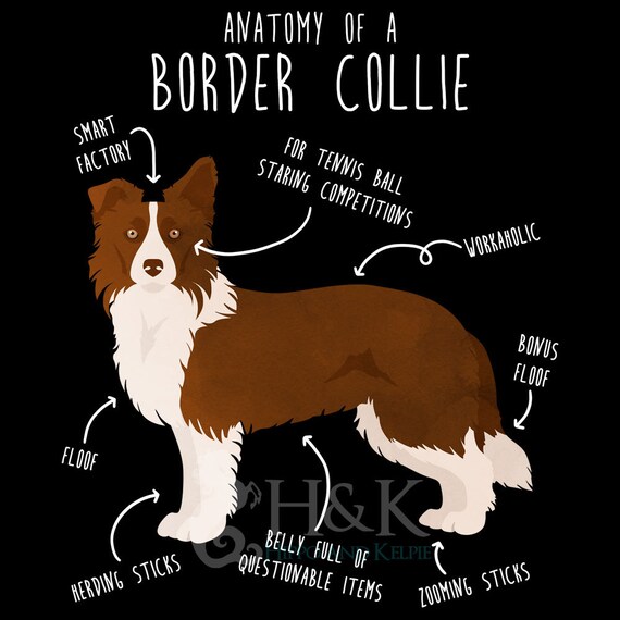 Cute Border Collie Easter Dog Mom Funny Tshirt Gift Cute Border Collie Easter Dog Mom Funny Tshirt Gift