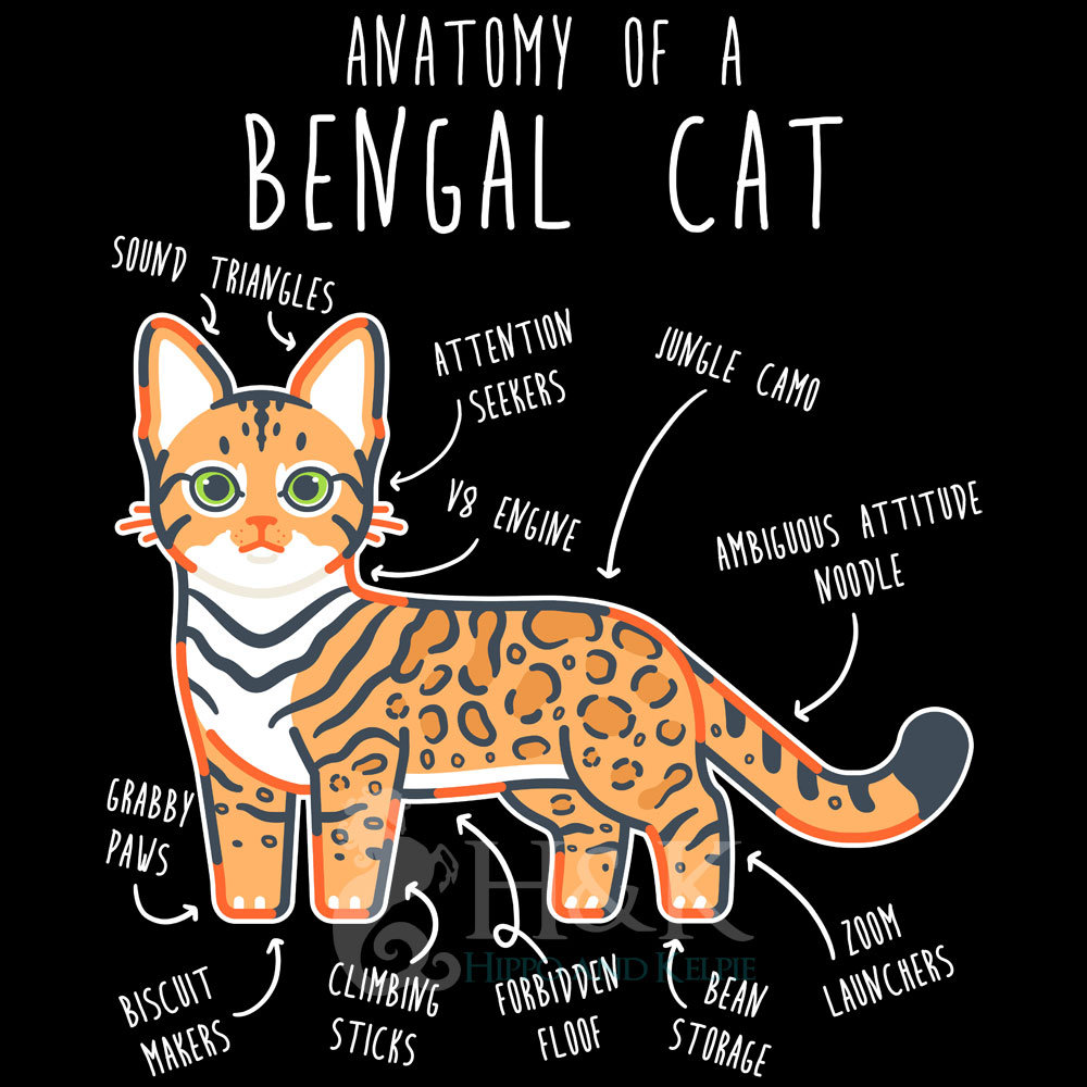 Bengal cat cheap shirt
