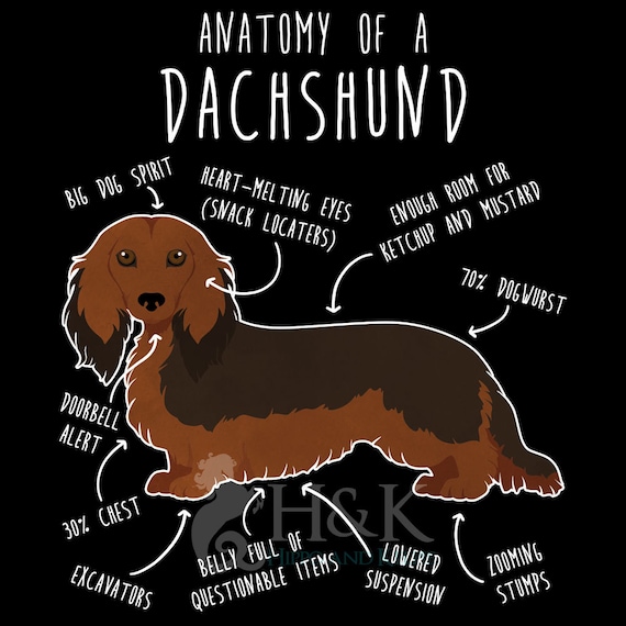 2 Things Can't Resist Her Dog & Her Other Dog Dachshund Tee 2 Things Can't Resist Her Dog & Her Other Dog Dachshund Tee