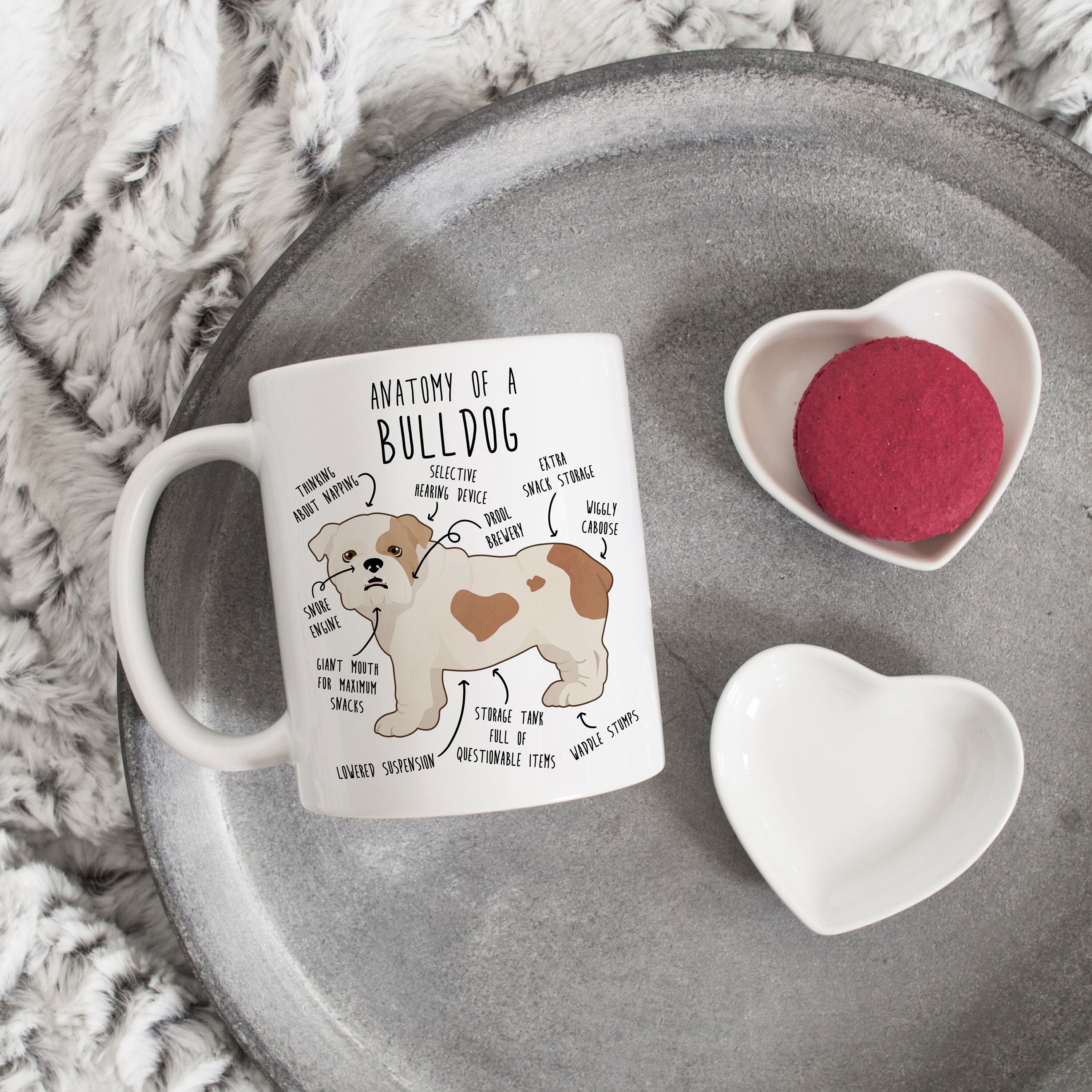 English Bulldog Coffee Mug, Cute White and Fawn Bulldog Gift, Dog Lover, Funny Gift for Her, Him, Bulldog Mom, Bulldog Dad, Dog Anatomy Cup