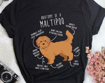 Apricot Maltipoo Shirt, Women, Men, Funny Red Maltipoo Dog Lover Gift, Cute Golden Maltipoo T-shirt Doodle Poodle Mix Tshirt Pet Tee Mom Dad