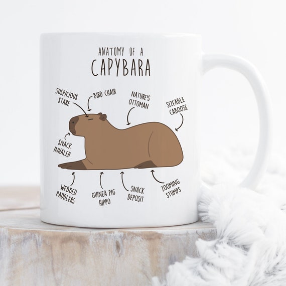 Funny Mugs Dog Pig Nose Ceramic Coffee Mug Interesting Gifts Free Shipping