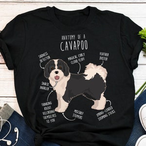 Peut inclure: Un t-shirt noir avec une illustration blanche d'un chien Cavapoo. L'illustration comprend des étiquettes de texte décrivant les caractéristiques du chien, telles que "Détecteur de tristesse", "Inhalateur de friandises" et "Pelage bouclé magique en nuage".