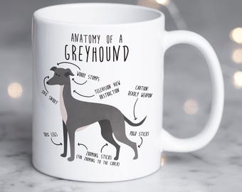 Könnte beinhalten: Weiße Keramik-Tasse mit einem Windhund-Anatomie-Diagramm. Das Diagramm enthält humorvolle Beschriftungen. Der Text "Anatomy of a Greyhound" steht oben. Die Tasse hat einen gebogenen Henkel.