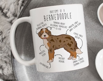 May include: White ceramic mug with a brown and white Bernedoodle dog illustration. The illustration is labeled with humorous anatomical features, such as "selective hearing device", "magical curly wavy cloud fluff", and "spring-loaded zooming sticks". The text "Anatomy of a Bernedoodle" is at the top of the mug.