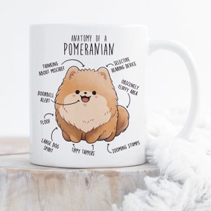 Taza de café de Pomerania naranja, lindo regalo de Pom, amante de los perros, regalo divertido para ella, él, taza para mascotas, mamá Pomerania, papá Pomerania, anatomía del perro