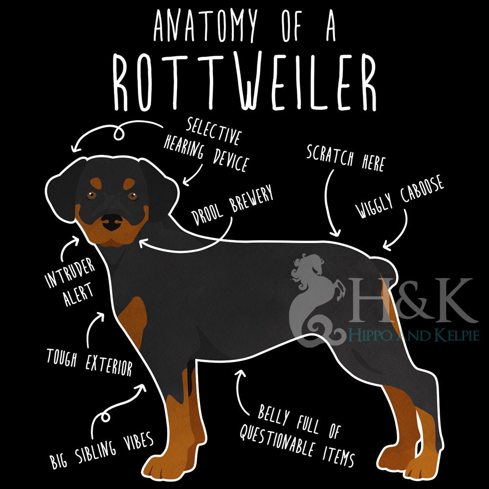 Discover Rottweiler Shirt, Women Men, Funny Dog Lover Gift, Cute Rotty T-shirt, Rotty Dog Tshirt, Pet Tee, Dog Mom Dog Dad, Gift For Him Her, Anatomy