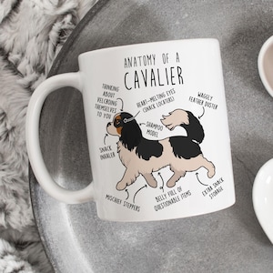 Tri-Color Cavalier King Charles Spaniel Coffee Mug, Cute Cav Gift, Dog Lover, Funny Gift for Her, Him, Pet Animal, Dog Mom, Dog Dad, Anatomy