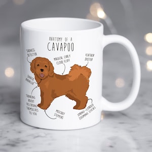 Peut inclure: Une tasse en céramique blanche avec une illustration de chien de dessin animé brun. Le chien est étiqueté avec des caractéristiques anatomiques humoristiques, telles que "peluche nuageuse bouclée magique" et "bâtons zoomants à ressort". Le texte "Anatomie d'un Cavapoo" est en haut de la tasse.
