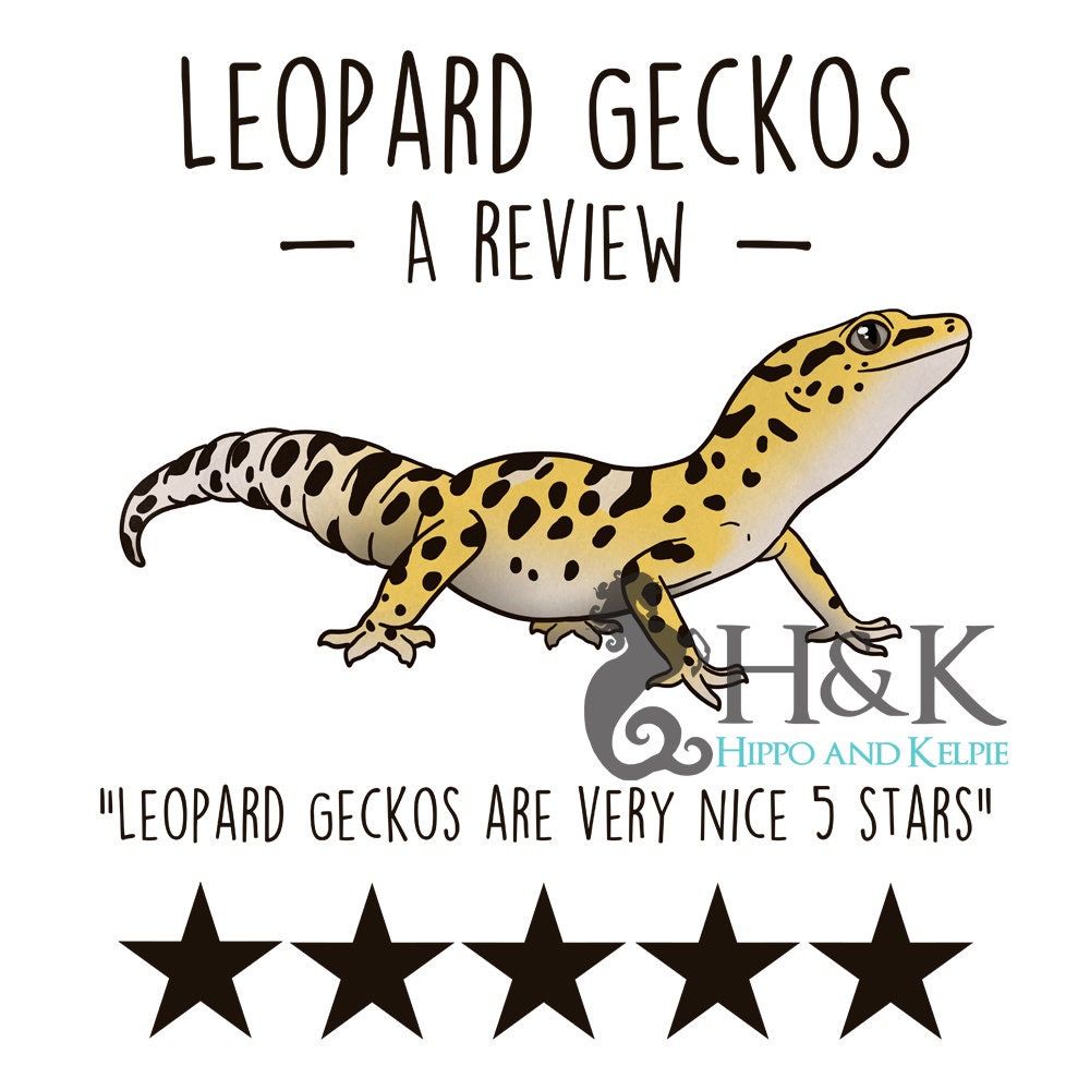 Tazza da caffè con geco leopardo, regalo per gli amanti dei Tazza da caffè con geco leopardo, regalo per gli amanti dei