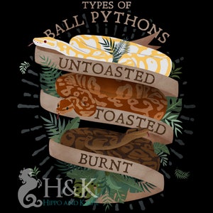 Może przedstawiać: Ilustracja trzech pyton&oacute;w kr&oacute;lewskich z r&oacute;żnymi wzorami kolorystycznymi, oznaczonych jako "Untoasted", "Toasted" i "Burnt". Ilustracja jest otoczona zielonymi liśćmi, a na g&oacute;rze znajduje się tekst "Types of Ball Pythons".