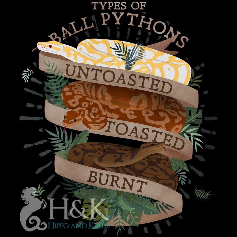 Może przedstawiać: Ilustracja trzech pyton&oacute;w kr&oacute;lewskich z r&oacute;żnymi wzorami kolorystycznymi, oznaczonych jako "Untoasted", "Toasted" i "Burnt". Ilustracja jest otoczona zielonymi liśćmi, a na g&oacute;rze znajduje się tekst "Types of Ball Pythons".