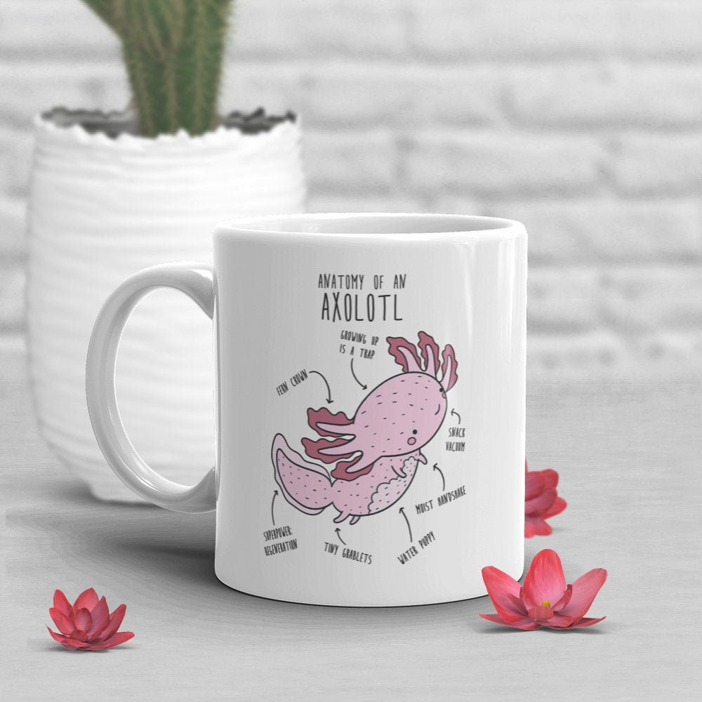 Axolotl Trinkglas Mit Bambusdeckel & Spruch 'Drink Alotl' - 400 Ml, Kawaii Design, Inkl. Edelstahlstrohhalm