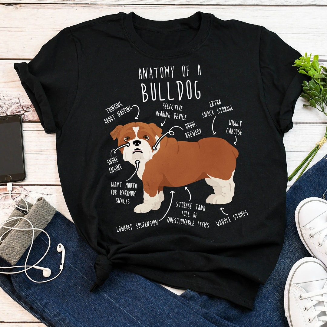 English Bulldog Shirt, Women, Men, Funny Dog Lover Gift, Cute Red and