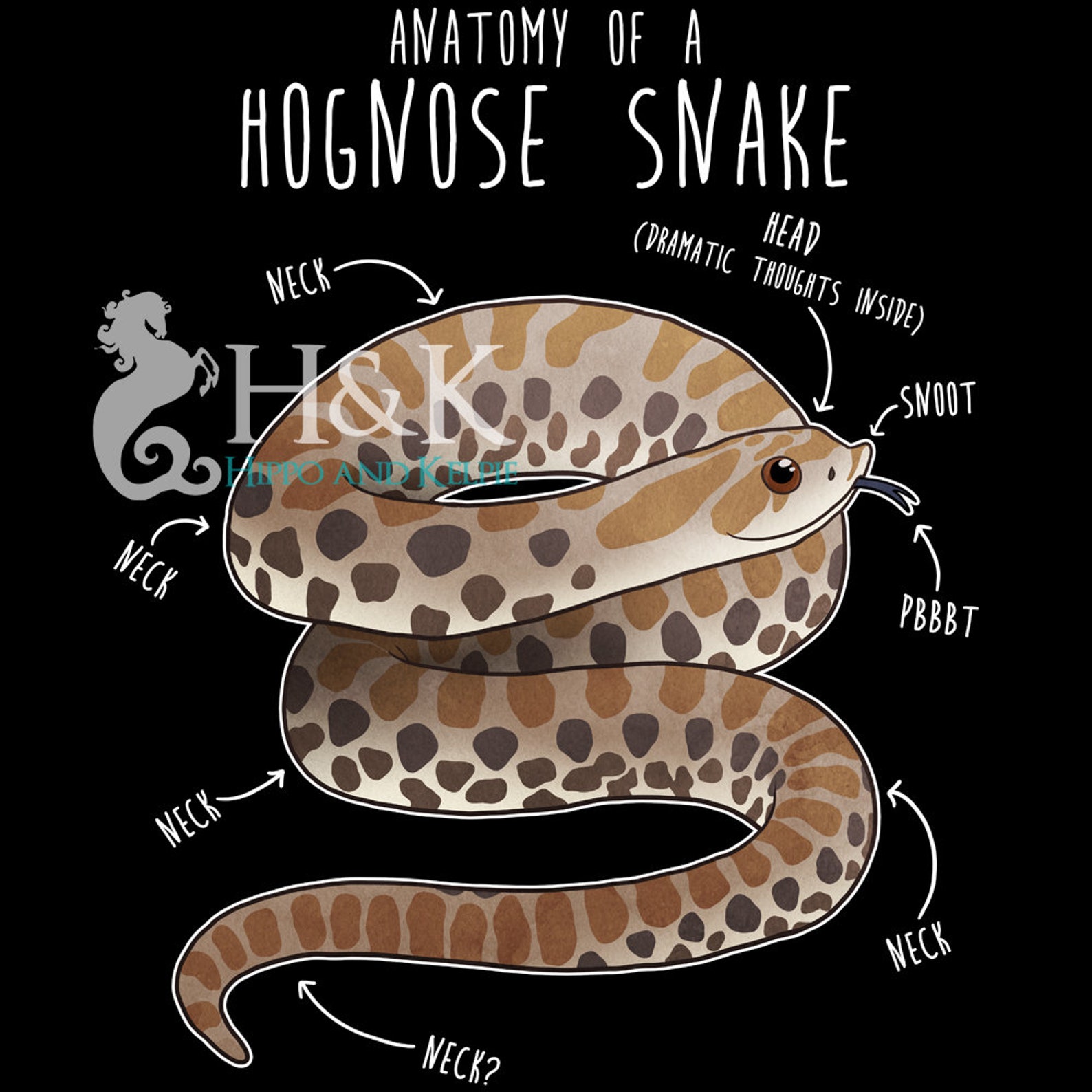 Funny Hognose Snake Shirt Women Men Reptile Tshirt Snake Etsy