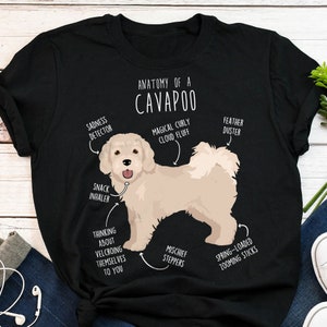 Cavapoo Shirt, Women, Men, Funny Cream Cavapoo Dog Lover Gift, Cute White Cavoodle T-shirt, Doodle Poodle Mix Cross Tshirt, Pet Tee, Mom Dad