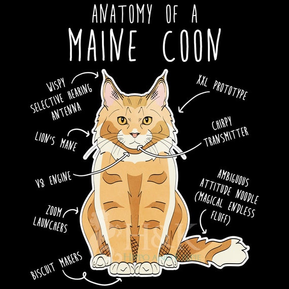 Cat Shirts Women Funny Cat Mom Dad Crazy Cat Lady Gift Shirt Cat Shirts Women Funny Cat Mom Dad Crazy Cat Lady Gift Shirt