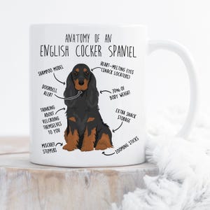 Puede incluir: Taza de cerámica blanca con una ilustración de un Cocker Spaniel inglés negro y marrón. La taza tiene etiquetas humorísticas como "Shampoo Model" y "Extra Snack Storage". El texto en la taza dice "Anatomía de un Cocker Spaniel Inglés".