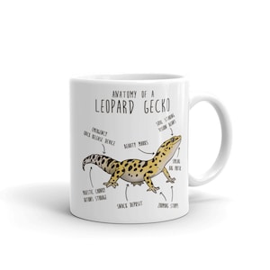 Puede incluir: Taza de cer&aacute;mica blanca con una ilustraci&oacute;n de dibujos animados de un gecko leopardo y un diagrama anat&oacute;mico humor&iacute;stico. El texto dice "Anatom&iacute;a de un gecko leopardo" e incluye etiquetas como "Dispositivo de liberaci&oacute;n r&aacute;pida de emergencia", "Marcas de belleza", "Rayos de visi&oacute;n fuertes del alma", "Puchero grande sonriente", "Almacenamiento de raciones regordetas majestuosas", "Dep&oacute;sito de refrigerios" y "Troncos de zoom".