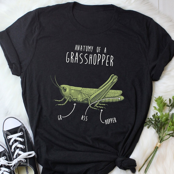Cricket T-Shirt. Vintage Cricket Insect Tee Cricket T-Shirt. Vintage Cricket Insect Tee