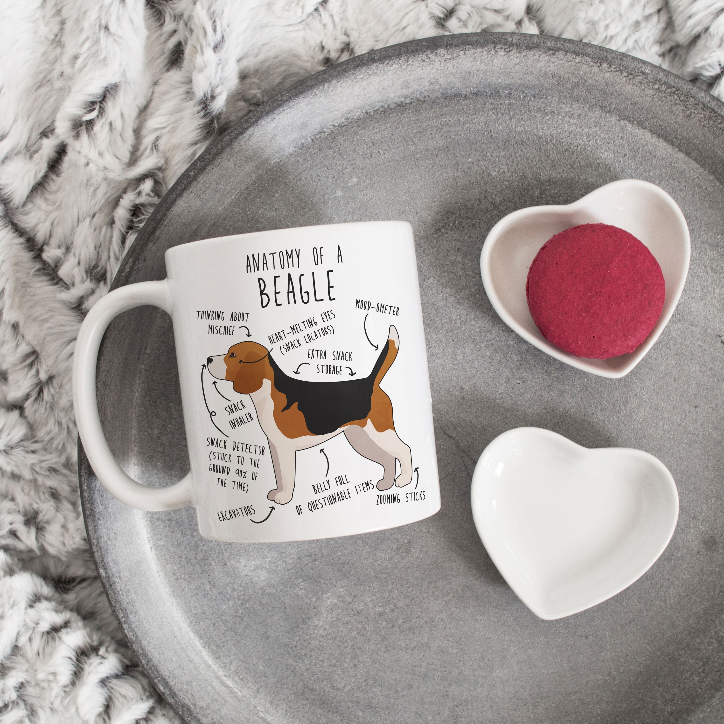 Tazza Beagle Umoristica Con Manico Anti-Scottatura – 325 Ml, Idea Regalo Per Amanti Dei Cani