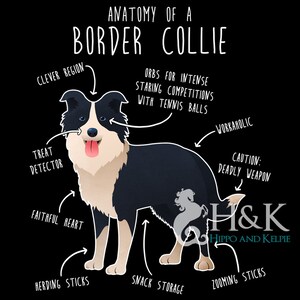 May include: A black and white Border Collie dog with its tongue sticking out. The dog is standing on a black background with white text that says "Anatomy of a Border Collie" and includes humorous descriptions of the dog's body parts, such as "Clever Region", "Treat Detector", "Faithful Heart", "Orbs for Intense Staring Competitions with Tennis Balls", "Workaholic", "Caution: Deadly Weapon", "Snack Storage", "Herding Sticks", and "Zooming Sticks".