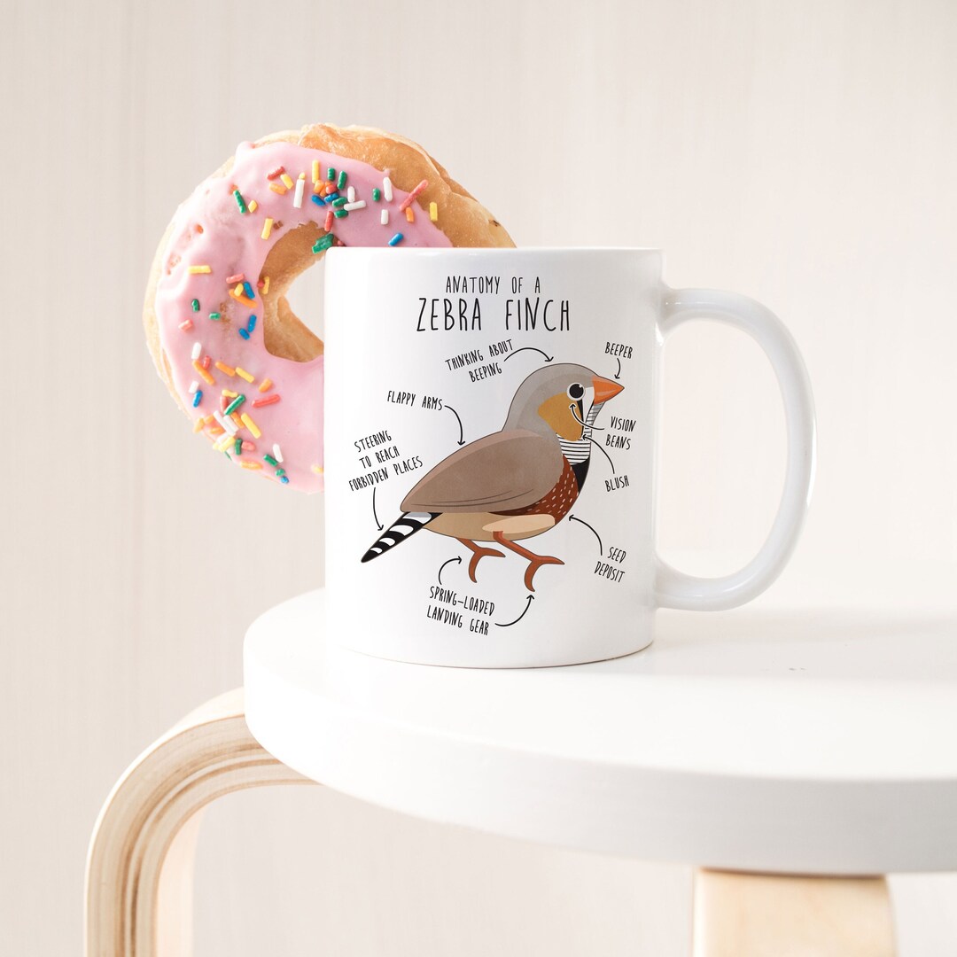 Taza De Café Con Dibujo De Cebra: Regalo Para Los Amantes De Los