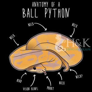 Funny Banana Ball Python Shirt, Women, Men, Reptile Tshirt, Snake Lover Gift, Reptile T-shirt, Cute Snake Tee, Python Anatomy, Snake Mom Dad image 2