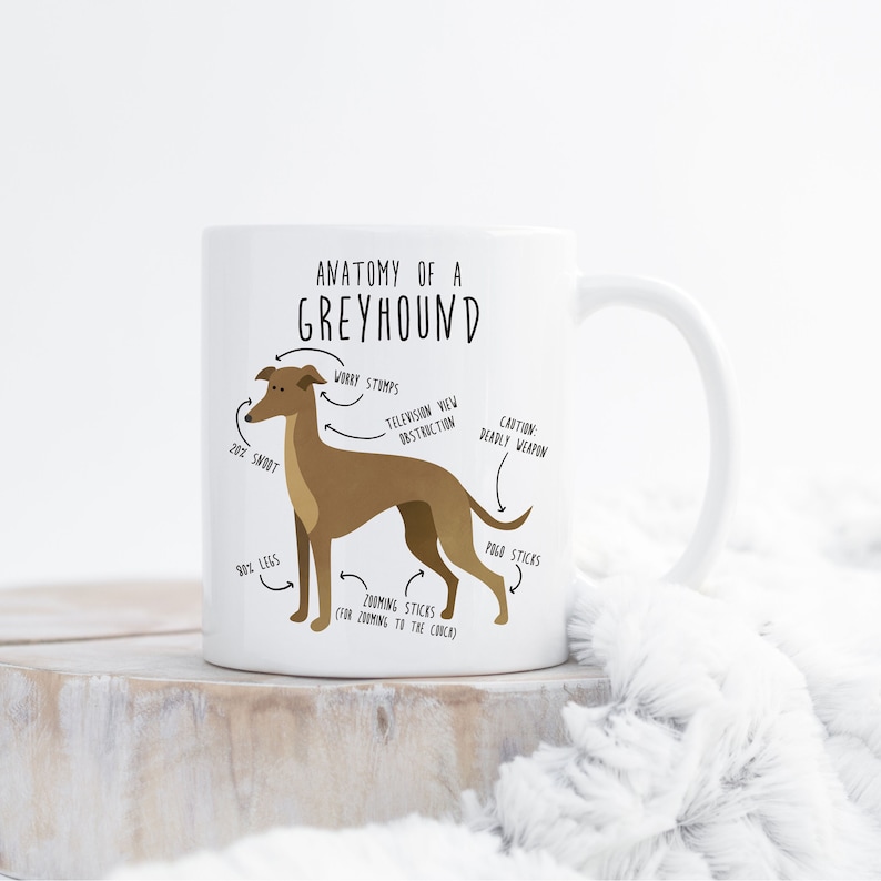 May include: White ceramic mug with a brown cartoon Greyhound dog illustration. The mug features a humorous anatomical diagram of a Greyhound with labels like "Zoomie Sticks" and "Deadly Weapon".