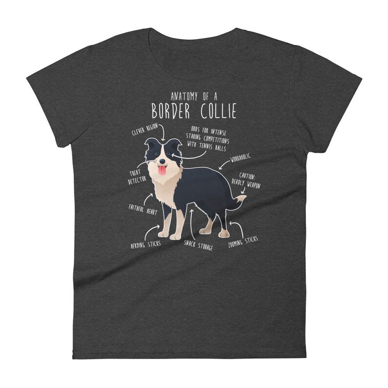 May include: A grey t-shirt featuring a black and white cartoon border collie. The shirt has text that reads "Anatomy of a Border Collie" and includes a humorous description of the dog's features.