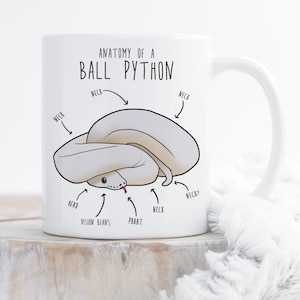 May include: White ceramic mug with a cartoon illustration of a ball python and the text "Anatomy of a Ball Python". The illustration shows the snake curled up with labels for "Neck", "Head", "Vision Beans", "PBBBT", and "Neck?".