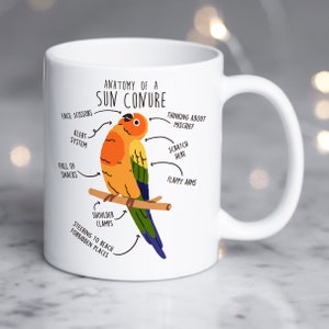 Sun Conure Coffee Mug, Cute Parrot Gift, Pet Bird Lover, Funny Gift for Her, Him, Bird Meme, Bird Mom, Bird Dad, Ornithologist, Anatomy